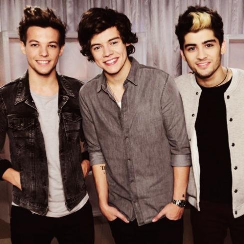 One direction fan account:) ~Louis'carrot3 ~Harry'scurls3 ~zayn'squiff3