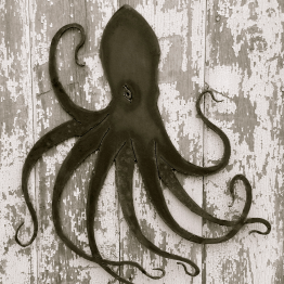 LittlefieldFish's profile picture. 