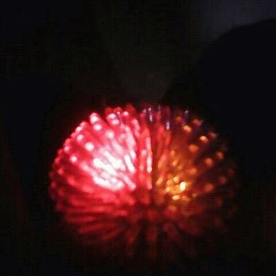 allialexalner11's profile picture. lol cute