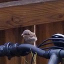 Shane Dougherty - @Enterphase - Twitter