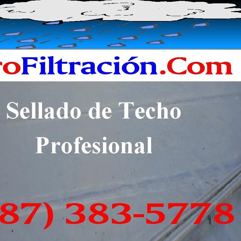 Sellado de Techo Profesional