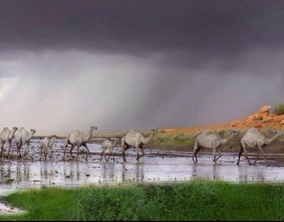 thanksto9421's profile picture. ‏نصراوي صممميم واعشق مدريد