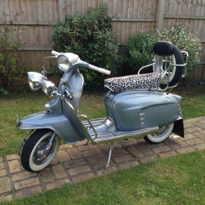 StevePonton1's profile picture. 