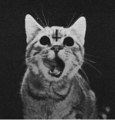 Aneed_Lovenaa's profile picture. 