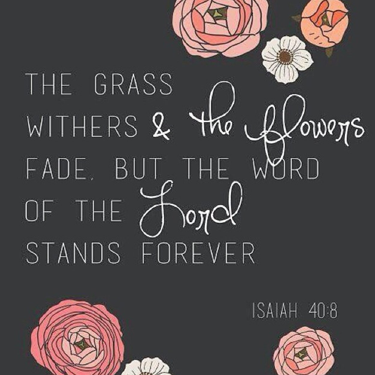Trust in Him.