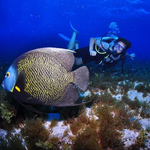 mpmassini's profile picture. 