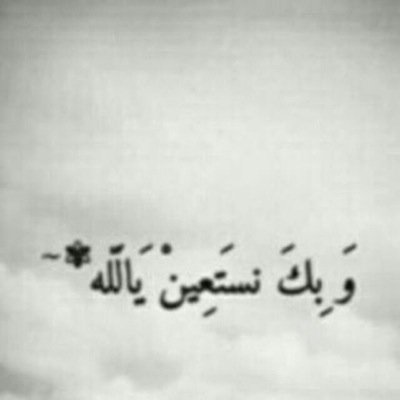 msaed1213's profile picture. 