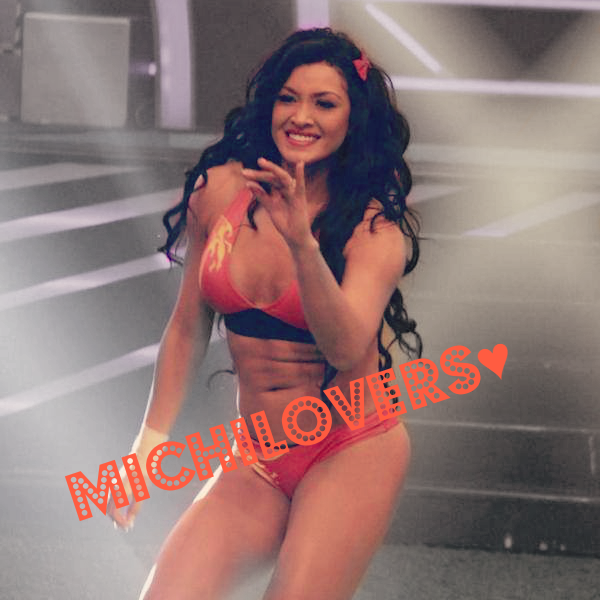 Hola Chic@s Sigannos si son MichiLovers♥