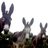 les_burres's profile image