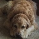 Catherine Wheeler - @CatherineWhee17 - Twitter