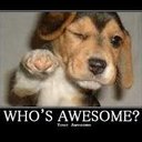 jerry - @tad_stone - Twitter