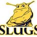 UCSC Men's Soccer (@ucsc_soccer) Twitter profile photo UCSC Men's Soccer (@ucsc_soccer) Twitter profile photo