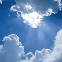 white_cloud ๐ฐ๐ผ (@whiite_cloude) 's Twitter Profile