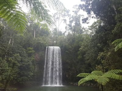 ahmadje321's profile picture. 