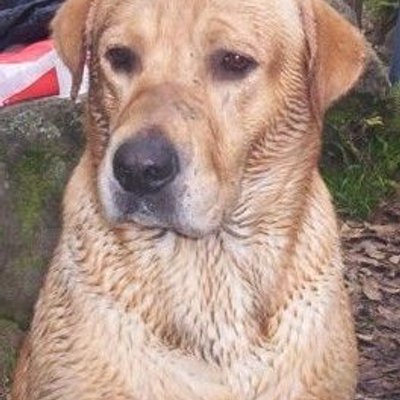 Profile Picture of Mónica Lucía Patiño (@MonicaPatHin) on Twitter