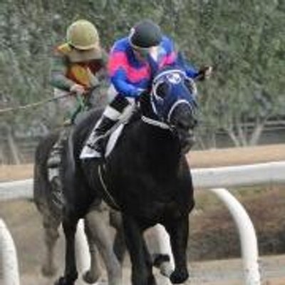 競馬カツ