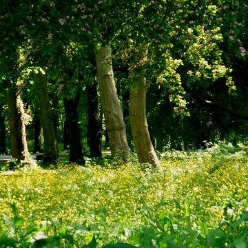Sharing the latest sustainability news, insights and events in Manchester.