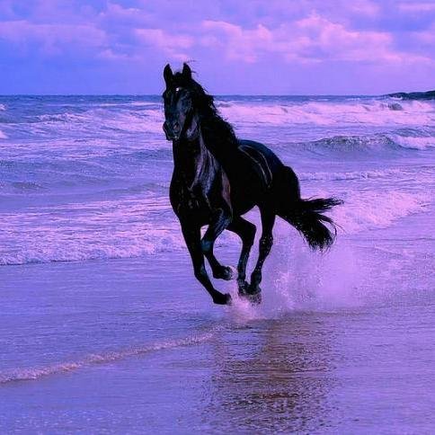 ‏‏‏متزوج، ميسور الحال ولله الحمد، قبيلي عمري 32 وسيم وجسم رياضي
Happiness is yours to choose or reject