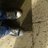 francarcastillo's profile image