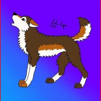 Hi guys :) i'm Lindsay from that one show TDI... i'm a fun person to be around & I've met a lot of really cool people on all of the TDI, like Duncan & Scott
