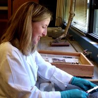 SFSU Anthropology (@sfstateanthro) Twitter profile photo