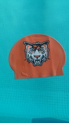 AmherstSwimming's profile picture. Amherst Swimming & Diving