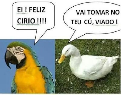 Oi Boa