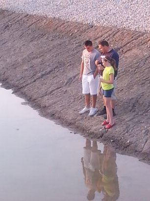 _juliesimmons_'s profile picture. LiveLikeItMatters!