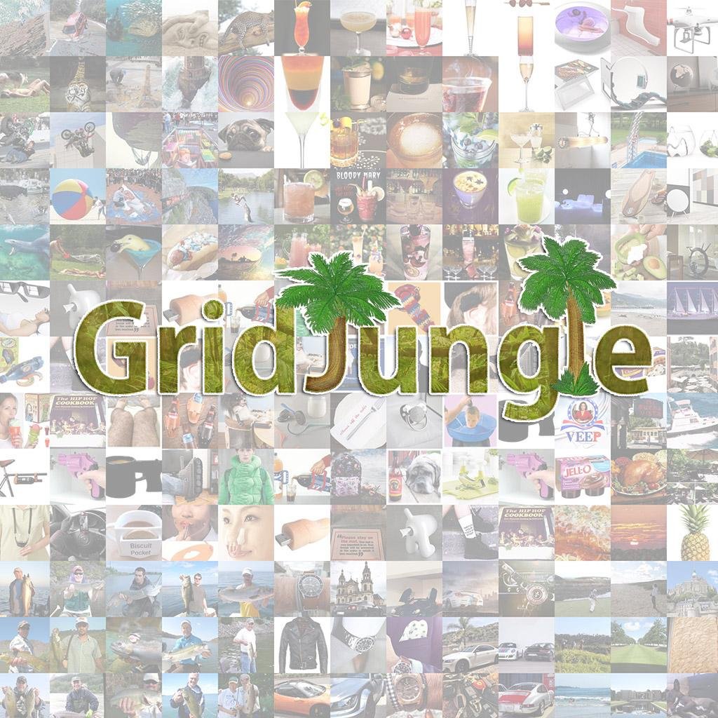 Infinite Possibilities - Share photos, run contests, vote, create your own grids.