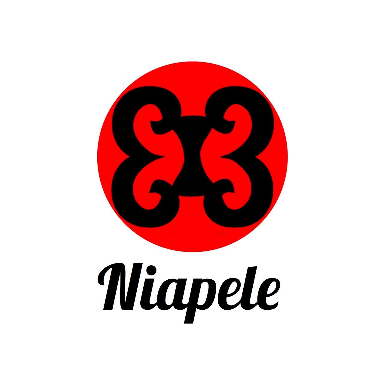 Niapele's profile picture. A non-profit organization located in Los Angeles, CA that supports community based projects benefiting the youth in Liberia.  (Instagram: niapeleproject)