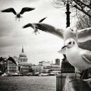 اناقة رجل (@07_solli) Twitter