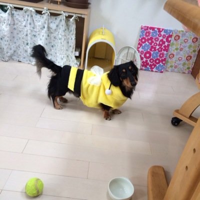 sugeasu's profile picture. 福島県生まれ。3５歳。パート主婦。関東にでてきて、１８年目となりました。