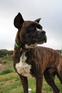 MerlinGiles's profile picture. 