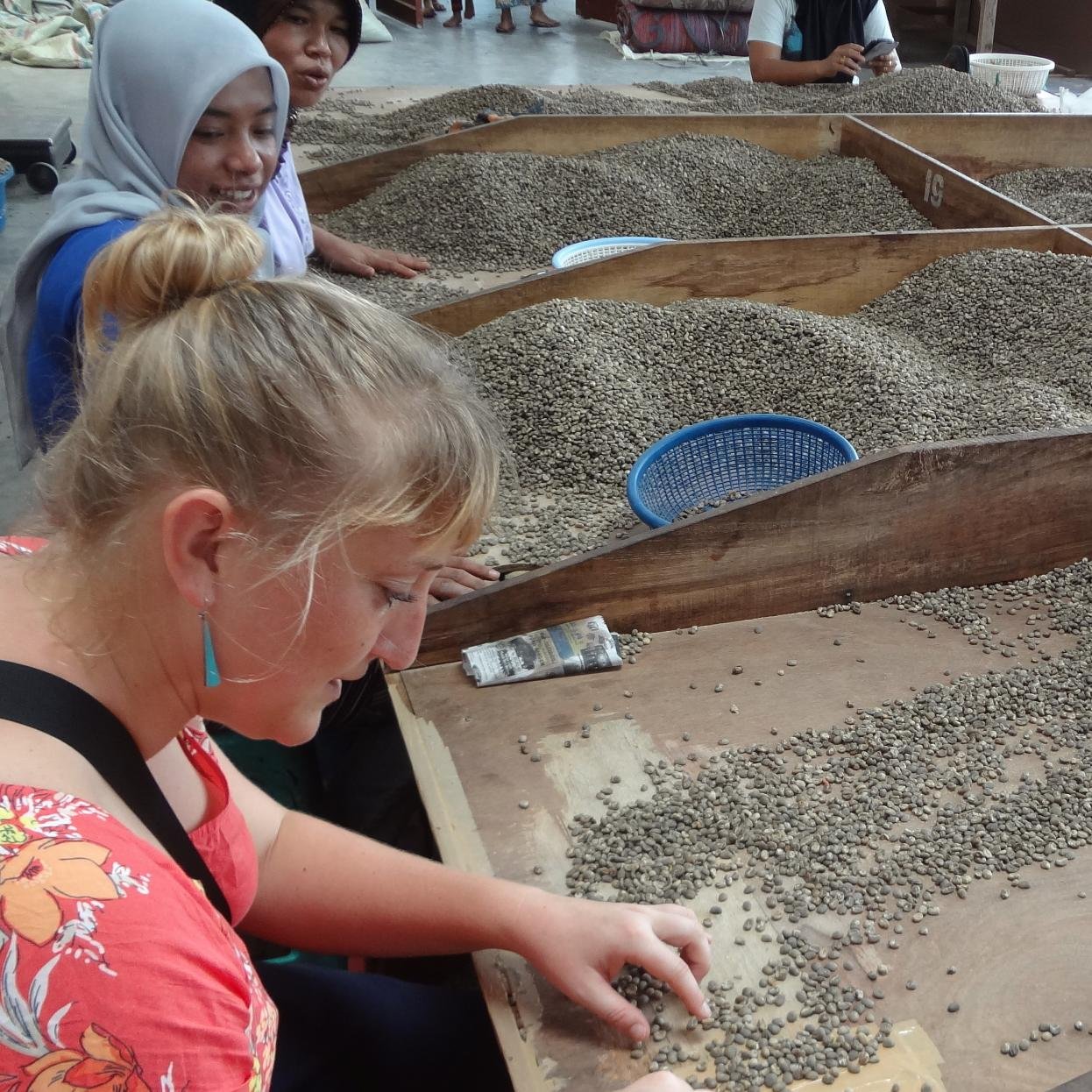 HMarieWalker's profile picture. 