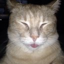 Ryan Metcalfe - @RyanRMetcalfe - Twitter