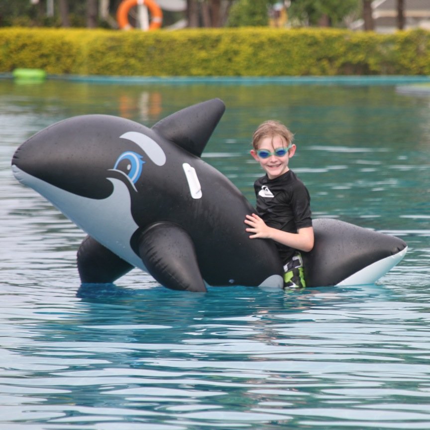 ActionPoolServi's profile picture. 