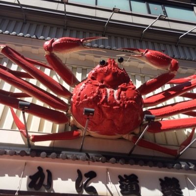 JkKawapi's profile picture. 