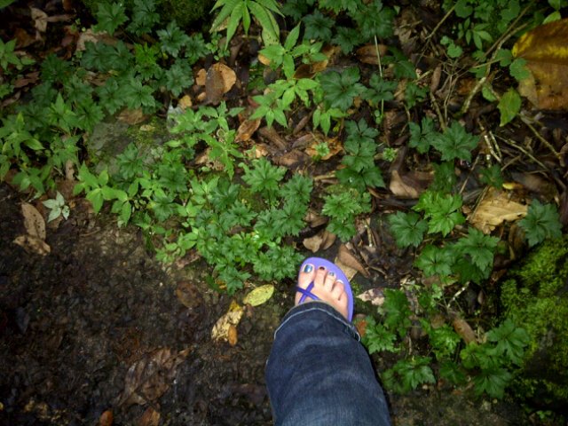 Anita_Mcy's profile picture. Mas maracayera que la chicha felix...