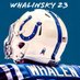 Chris Whalen (@whalinsky23) Twitter profile photo