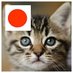 yaya0139 (@joliechat2) Twitter profile photo