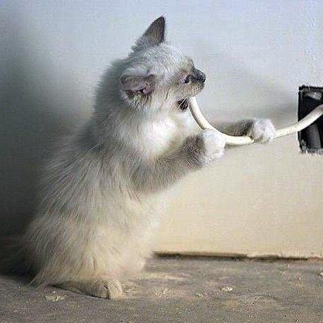 TFildin's profile picture. 