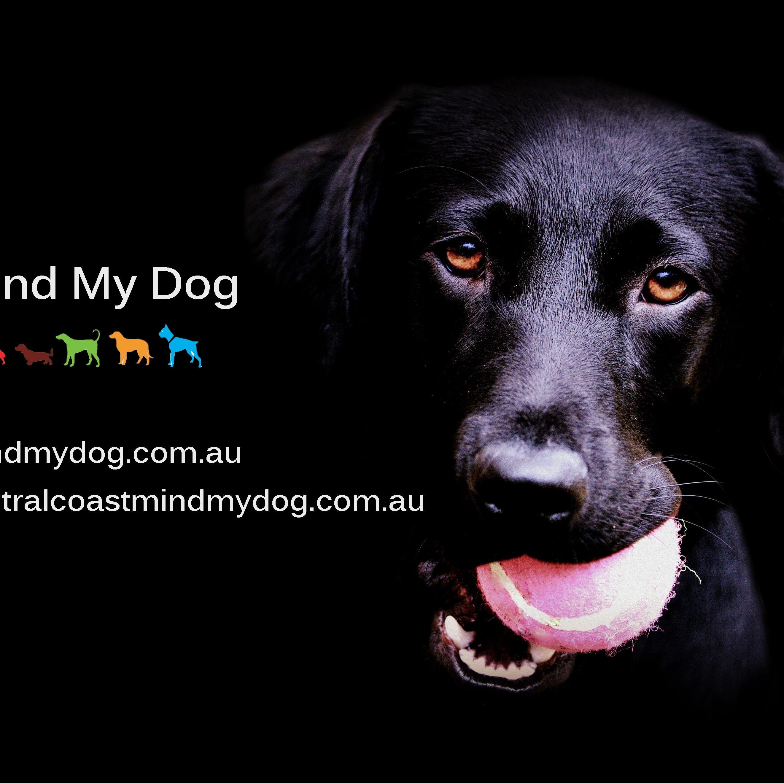 Dog Minding by the best Minders. Locally owned and operated, giving individual attention to your dogs and you. Covering Sydney and the Central Coast NSW