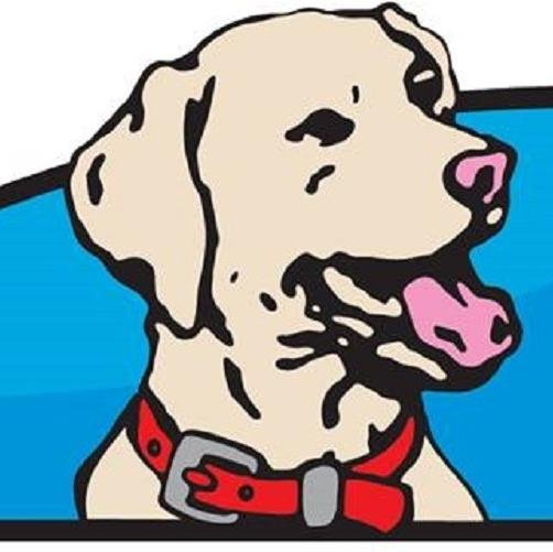 LuckyDogGlass's profile picture. We provide quality Auto Glass Replacement and Repair servicing the South Puget Sound in Western Washington.