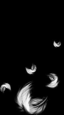 Follow me and i follow back ok...?