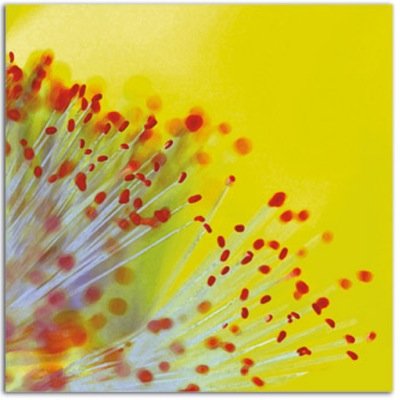 dani22_h's profile picture. 