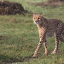 Raul Negrete - @raulnegrete80 - Twitter