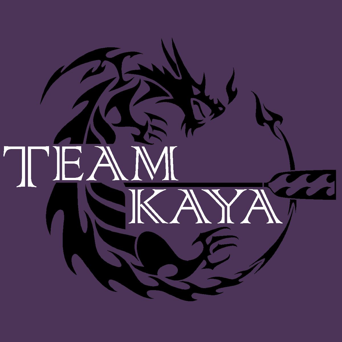 A NYC based dragonboat team/club, comprised of sports enthusiasts. Team Kaya's focus to promote teamwork, community service, and fun.