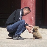 Сонин-Эрдэнэ (@ch_soninerdene) Twitter profile photo