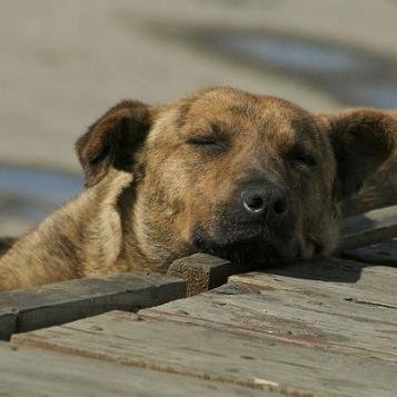 Dejen descansar un rato que sea