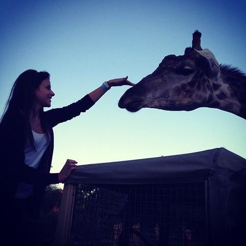 JamesMania_Smp's profile picture. colombiana, estudiante de fisioterapia, Fan de James Rodriguez, Malú, Cristiano y los pasteles de coco.

Madrid .